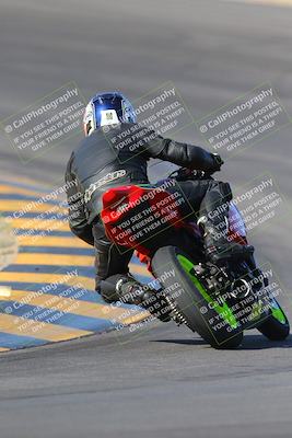 media/Nov-12-2023-SoCal Trackdays (Sun) [[5d1fba4e7d]]/Turn 10 Backside (115pm)/